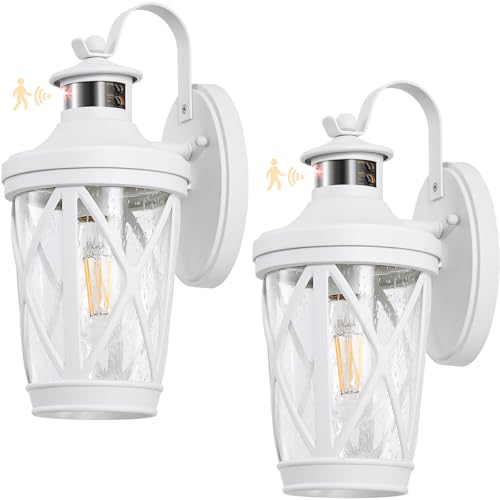 White Outdoor Wall Lights (White / 2-Pack)