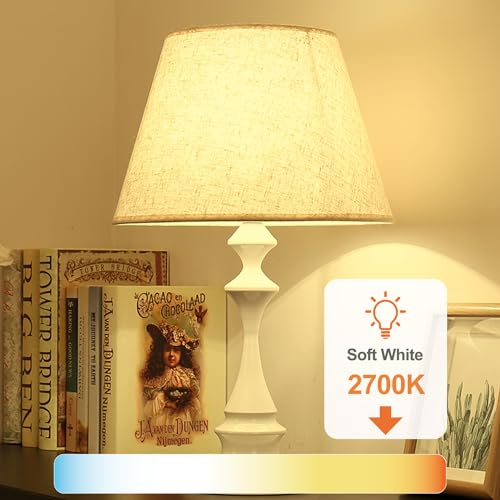 6 Pack A19 LED Light Bulbs (6 Count)
