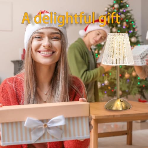 2 Pcs Cordless Rechargeable Table Lamp