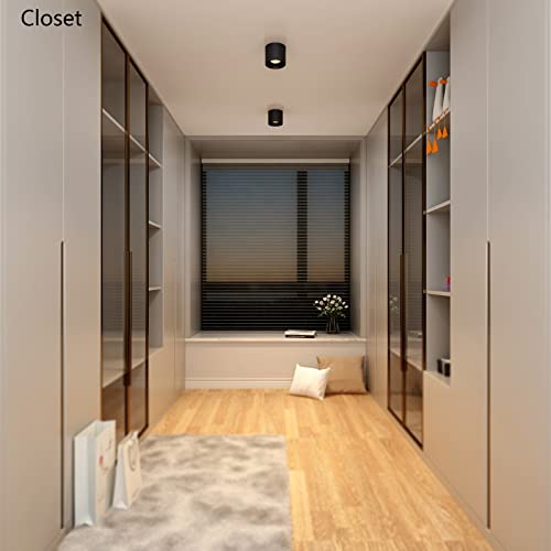 Ceiling Light Fixture (2 Count)