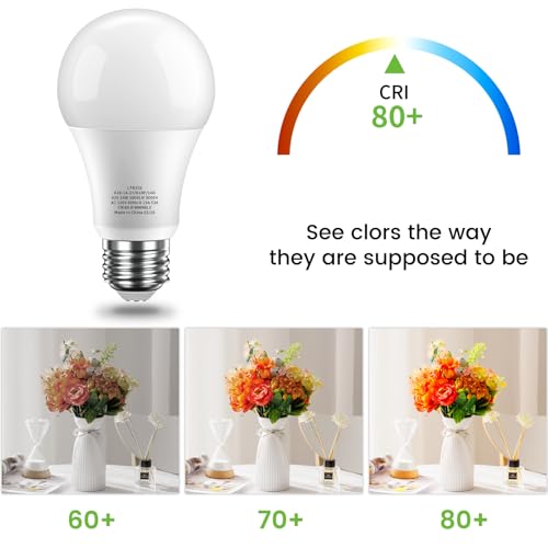 Dimmable LED Light Bulbs (6 Count)