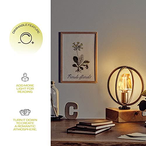 LED Decorative Light Bulb