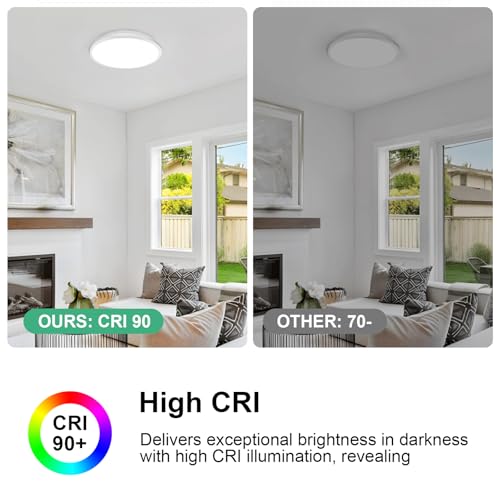 2 Pack 12 Inch Ceiling Light (2 Count)