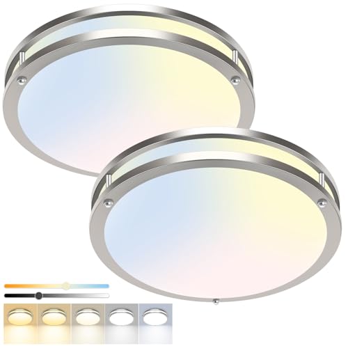 2 Pack Flush Mount Ceiling Light Fixture (2 Count)