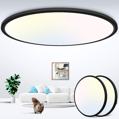 2Pack 20 inch LED Flush Mount Ceiling Light