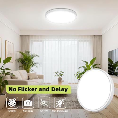 12Inch Flush Mount Ceiling Light