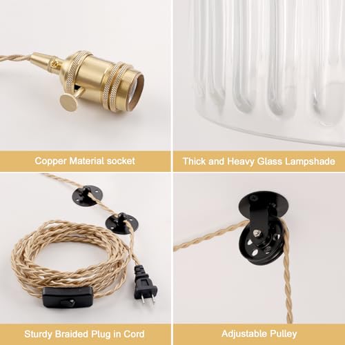 Plug in Pendant Light Hanging Light Fixture Corded On