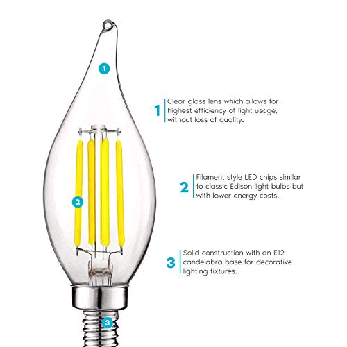 Vintage Candelabra LED Bulb 60W Equivalent (6 Count)