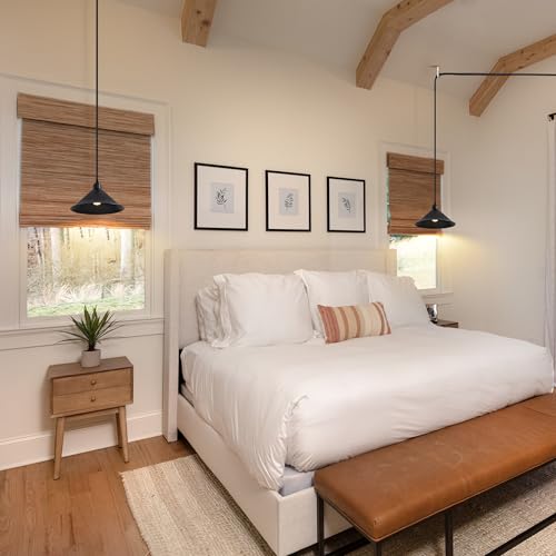 11.8IN Plug in Pendant Light (2 Count)
