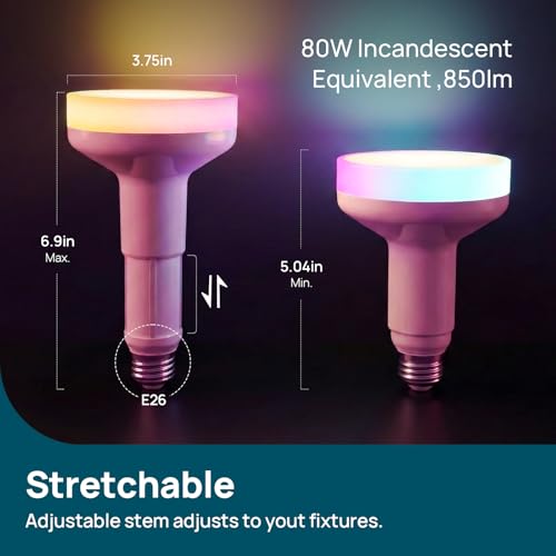 Matter BR30 Smart Light Bulbs (4 Count)