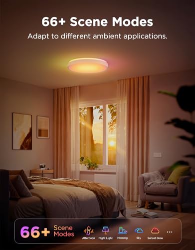 Smart Ceiling Light 4300LM 15 Inch