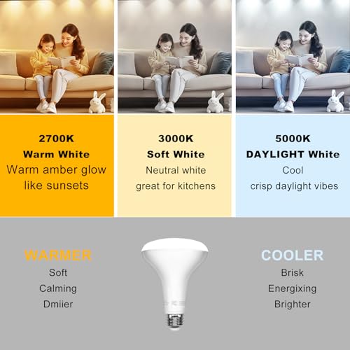 BR30 LED Light Bulbs