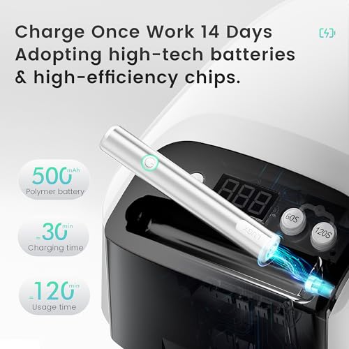 2 in 1 UV LED Nail Lamp