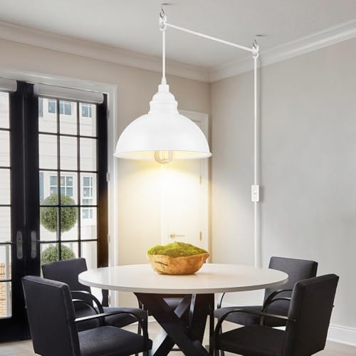 Plug in Pendant Light
