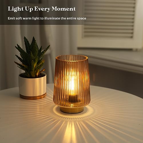 Battery Operated Lamp with Timer (2 Count)