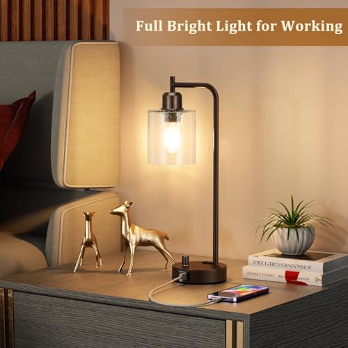 Brown Industrial Bedside Table Lamp for Bedroom
