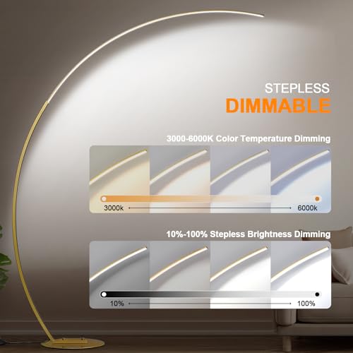 Dimmable LED Floor Lamp with 3 Color Temperatures