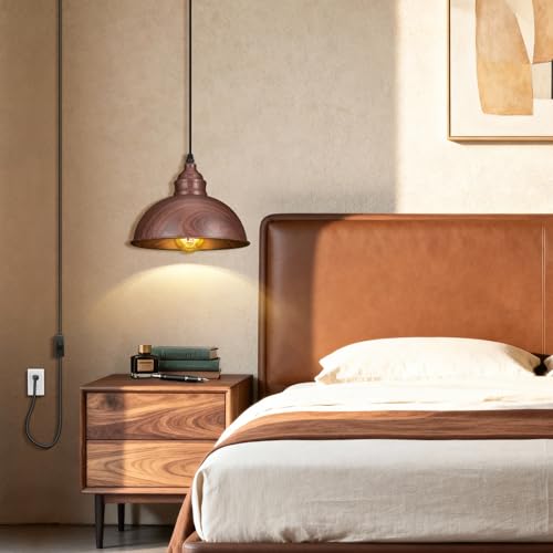 Plug in Pendant Light