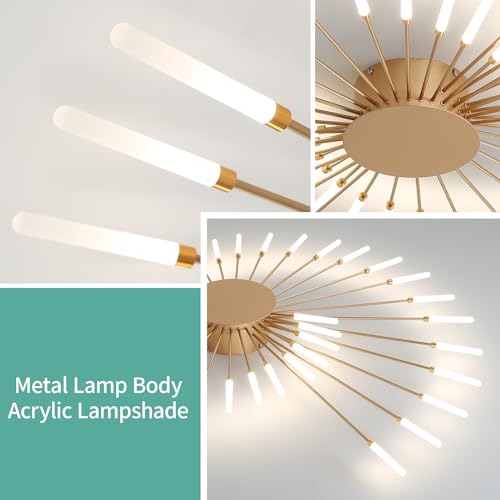 Modern Ceiling Light