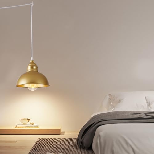 Plug in Pendant Light