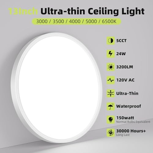 LED Flush Mount Ceiling Light
