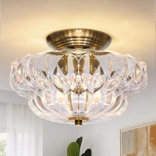 Semi Flush Mount Ceiling Light