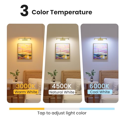 Picture Light for Wall Battery Powered