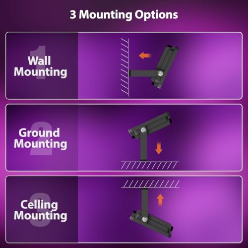 Purple Halloween Lights (Purple)