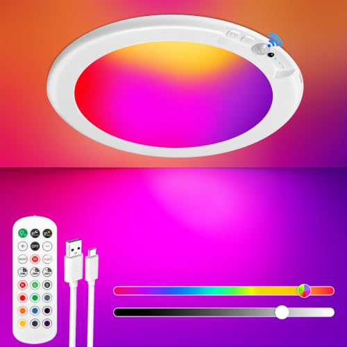 Rechargeable Motion Sensor Ceiling Light