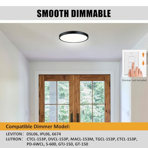 Flush Mount Ceiling Light Fixture (2 Count)