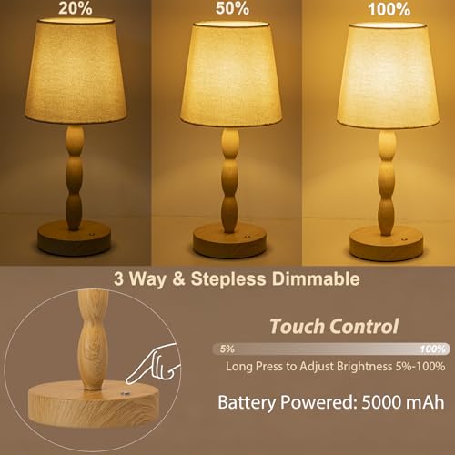 Rechargeable Cordless Table Lamp