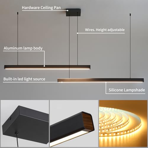 Modern 2 Light Chandelier