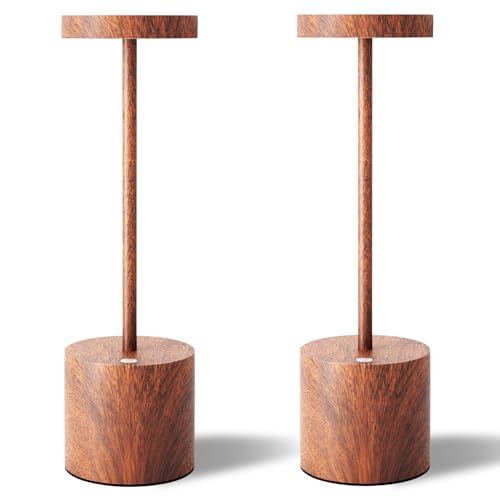LED Cordless Table Lamps Set of 2
