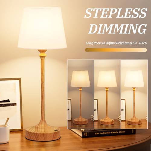 Cordless Table Lamps Rechargeable Set (2 Count)