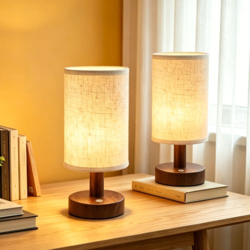 2 Pack Rechargeable Cordless Table Lamp