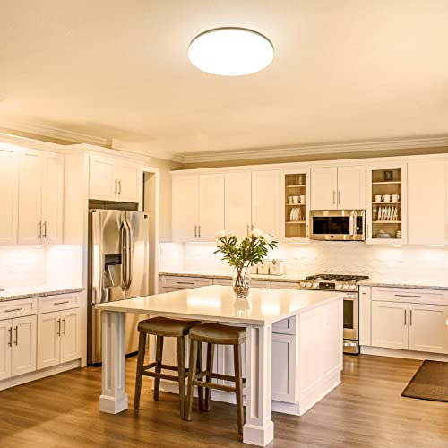 11 inch Flush Mount LED Ceiling Light for Bathroom