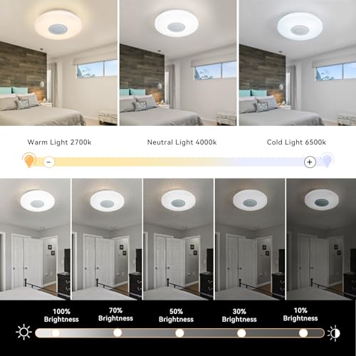 LED Ceiling Light Fixture