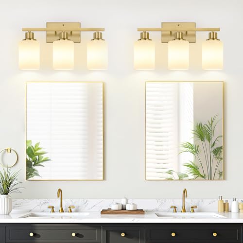 3 Light Bathroom Light Fixtures