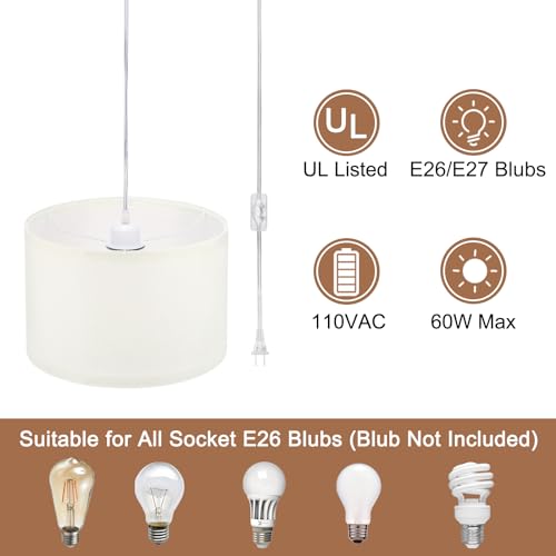 Plug in Pendant Light
