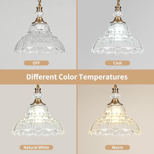 1 Piece Vintage Chandelier in Matte Antique Brass Finish with Flower (1-Light / Antique Brass and Chain Style)