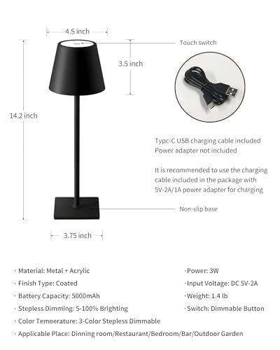 Cordless Black Table Lamp