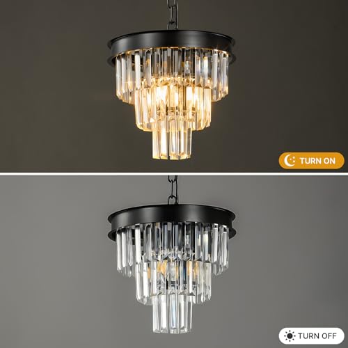 Small Black Crystal Pendant Light