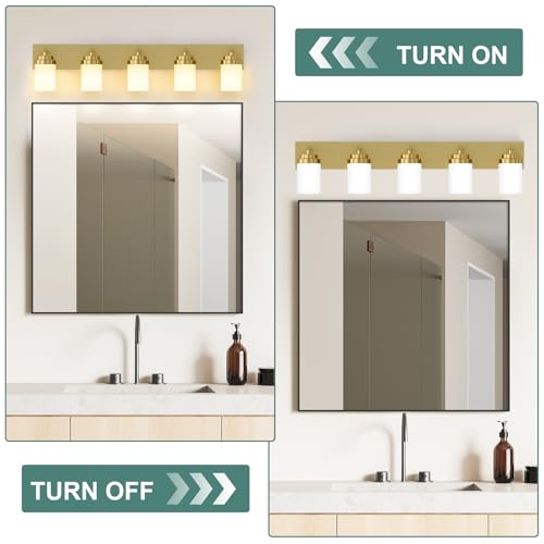 Bathroom Vanity Light Fixture