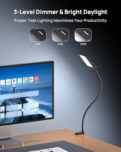 LED Desk Lamp with Clamp