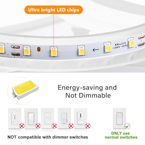 Modern LED Ceiling Light