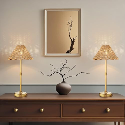 20.5'' Tall Cordless Boho Rattan Table lamp