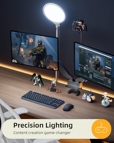 10.5" Ring Light with Stand and Phone Holder