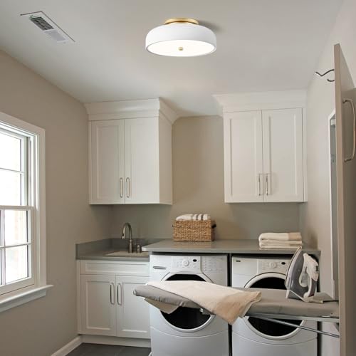 Dimmable LED Ceiling Light Fixture
