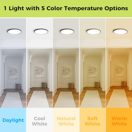2Pack LED Flush Mount Ceiling Light Fixture
