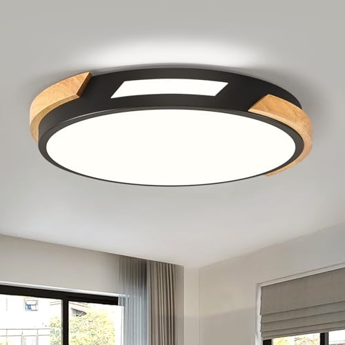 Modern LED Ceiling Light